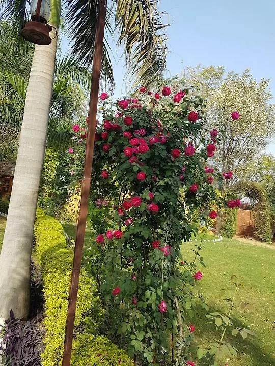 Surjivan Resorts Gurgaon